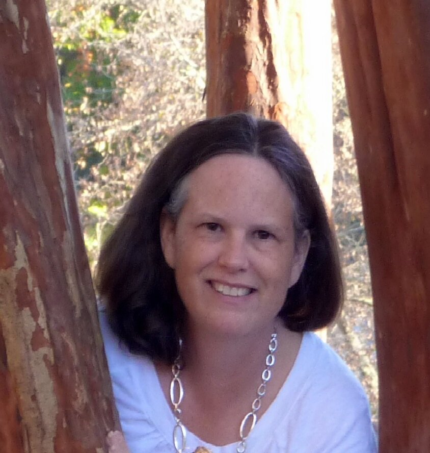 Lynn Bayne